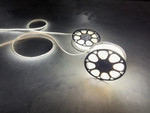 Lichtschlauch/-band