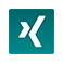 Xing Icon