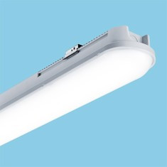 Thorneco